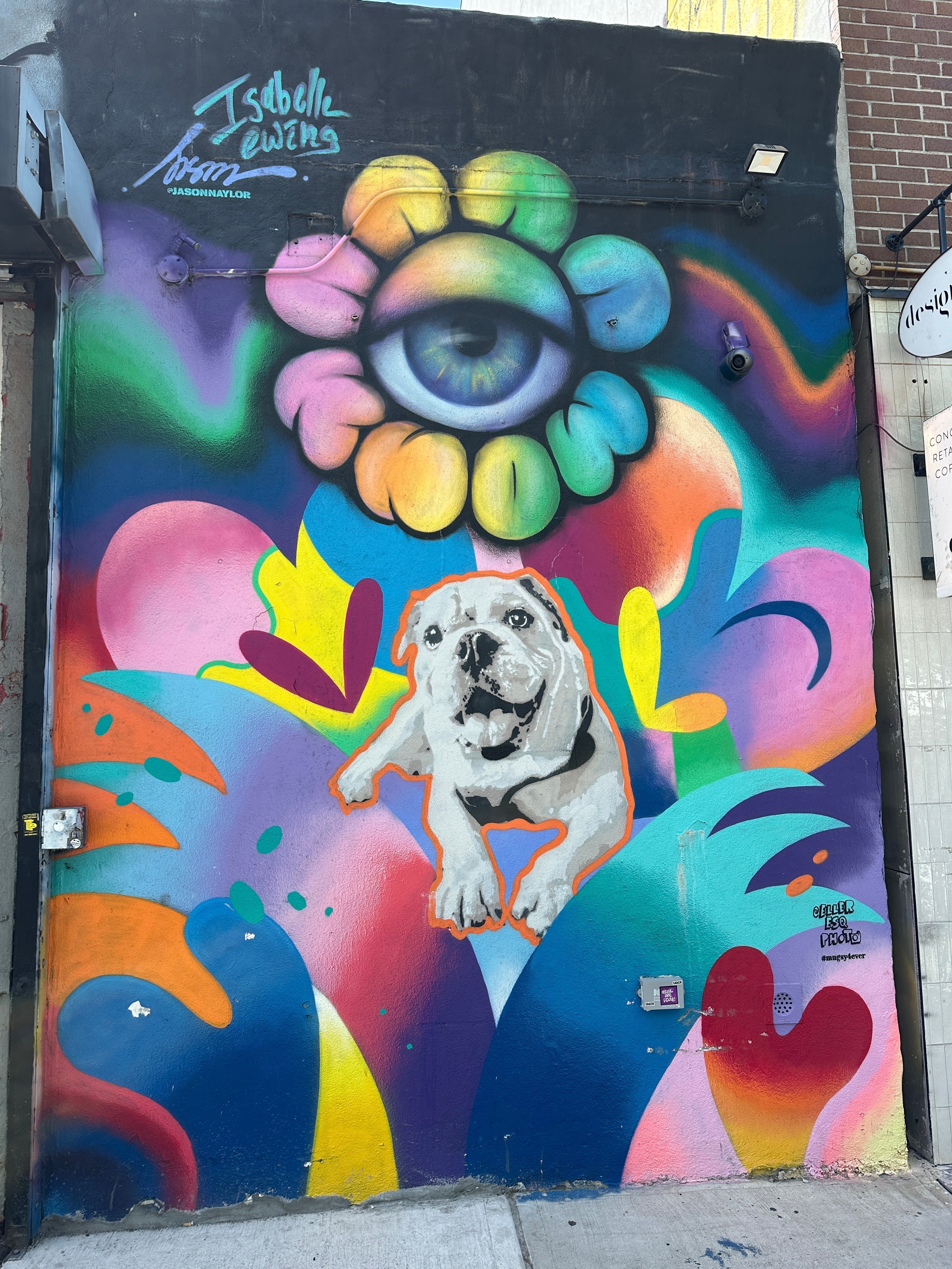 New York Private Street Art Tour: Williamsburg for Couples, Families, and Friends