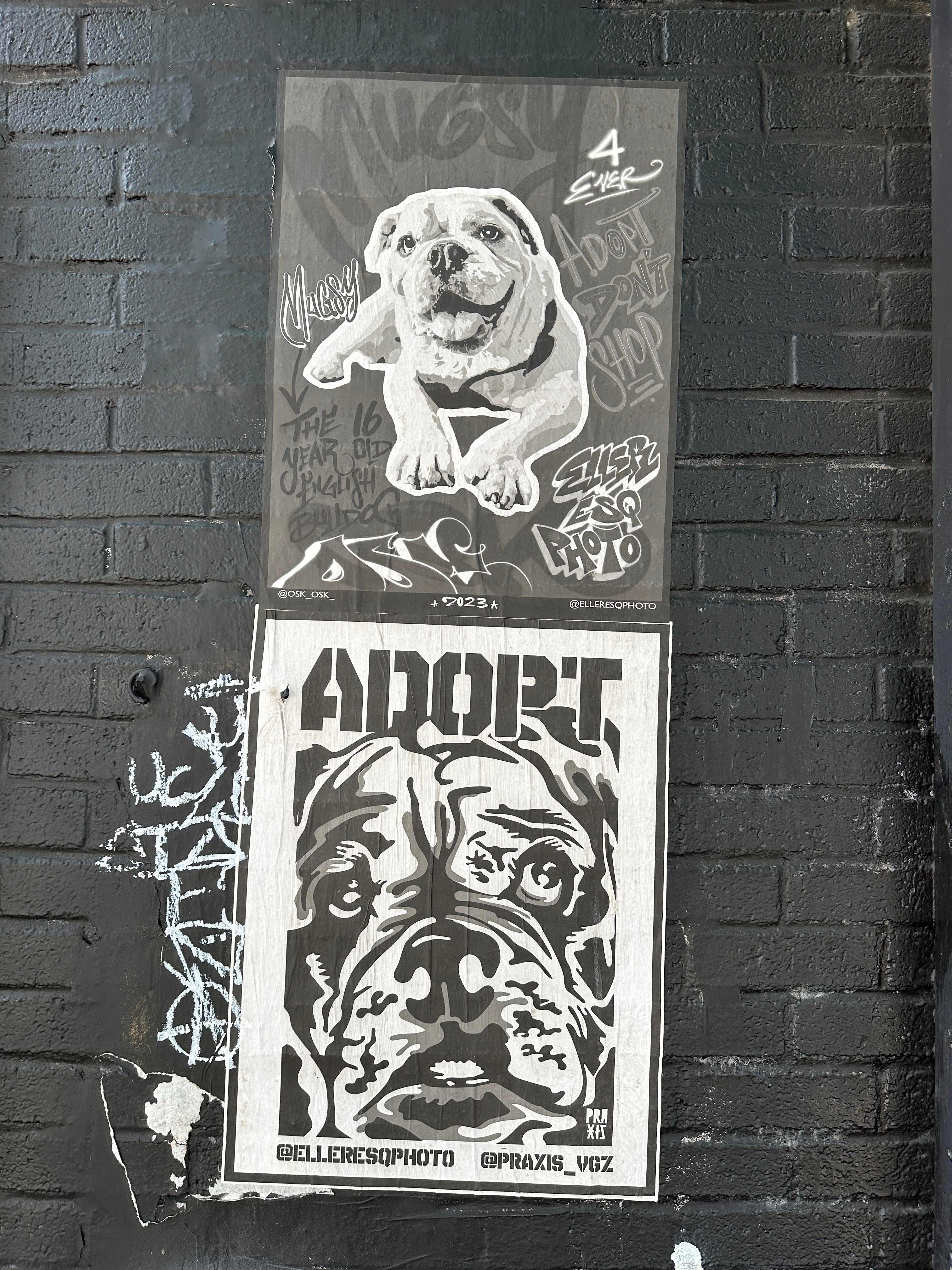 Class Trip New York Street Art Tour — spotting stencil details off Wythe Ave