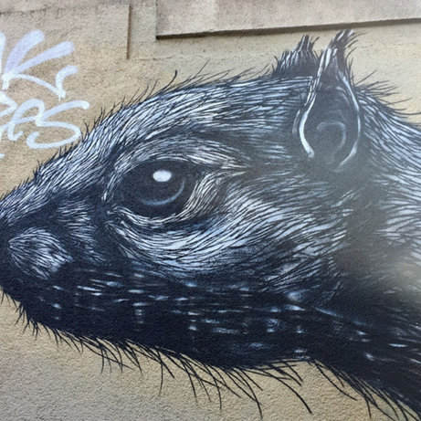 Participants discovering ROA’s black-and-white mural on the Street Art Tour Copenhagen.