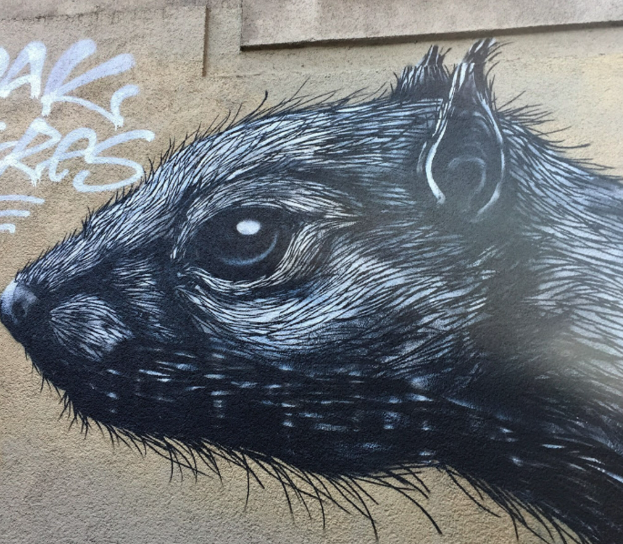 Participants discovering ROA’s black-and-white mural on the Street Art Tour Copenhagen.