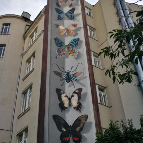 Vienna Team Building Street Art Walk — colleagues exploring Gumpendorfer Straße with the app