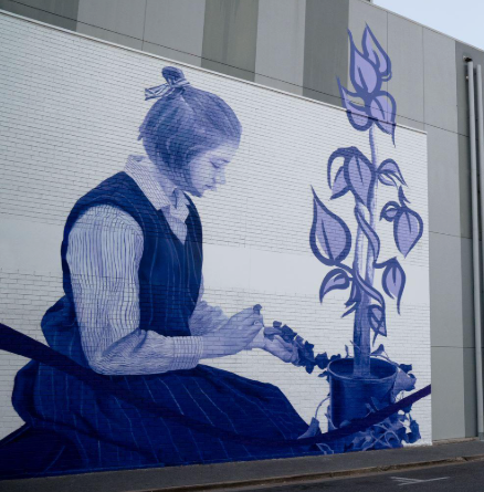 Adelaide Team Building Street Art Walk — coworkers capturing urban details near North Terrace