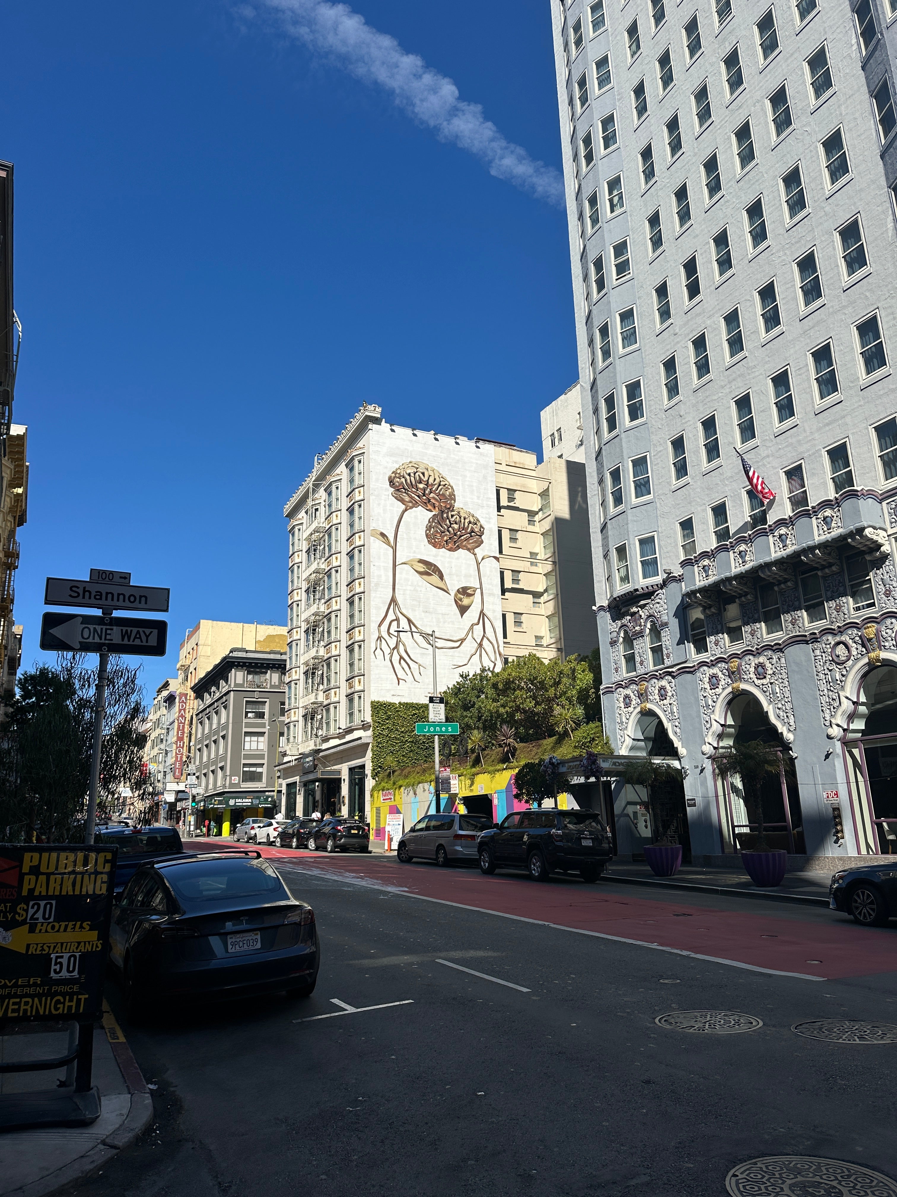 Balmy Alley mural close-up captured on the Street Art Tour San Francisco