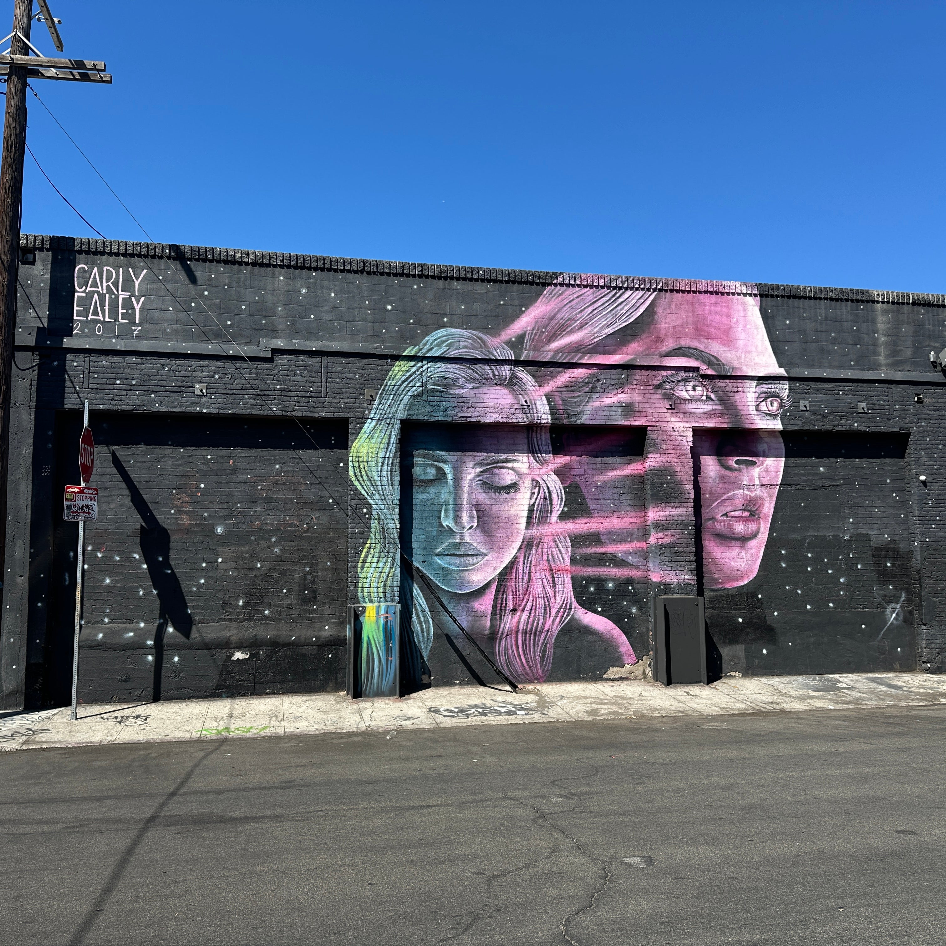 Shepard Fairey mural used as a photo backdrop on the Street Art Tour Los Angeles