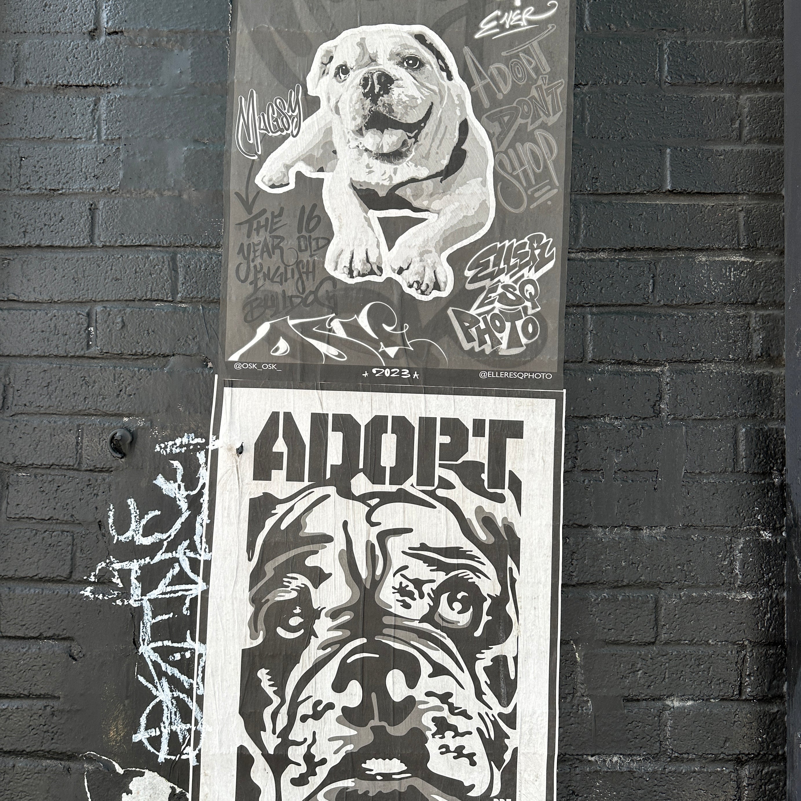 Team selfie at a bold wall during the Street Art Tour New York city walk