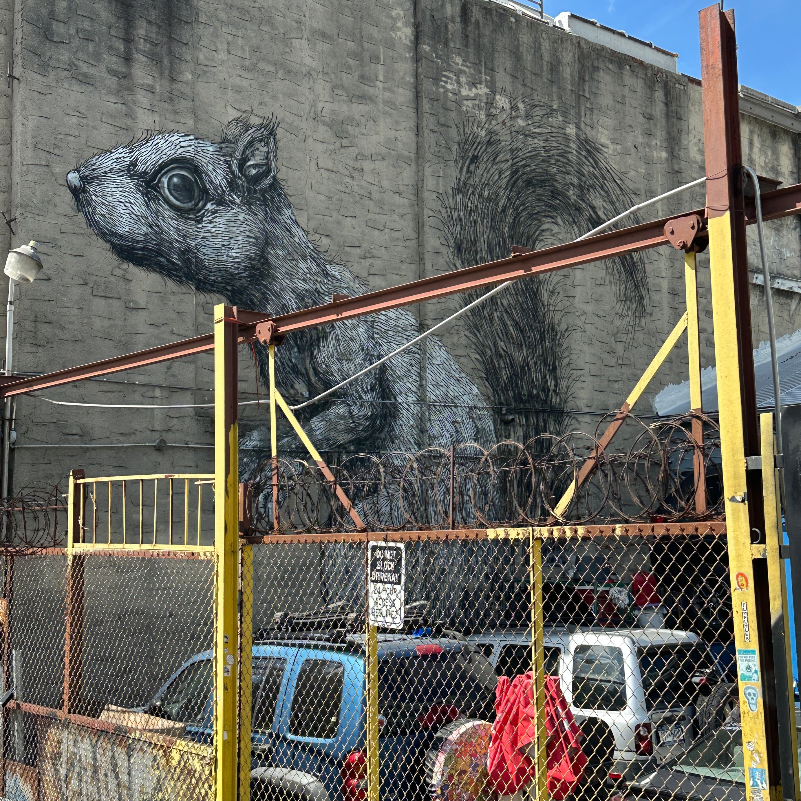 Street Art Tour New York – ROA squirrel mural hidden in a backyard wall