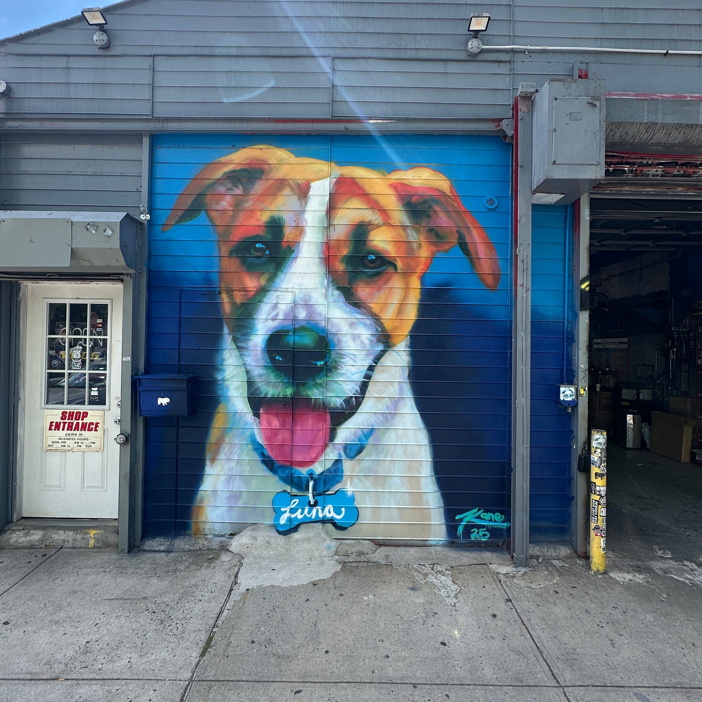 Street Art Tour New York – exploring graffiti and murals along Bedford Avenue