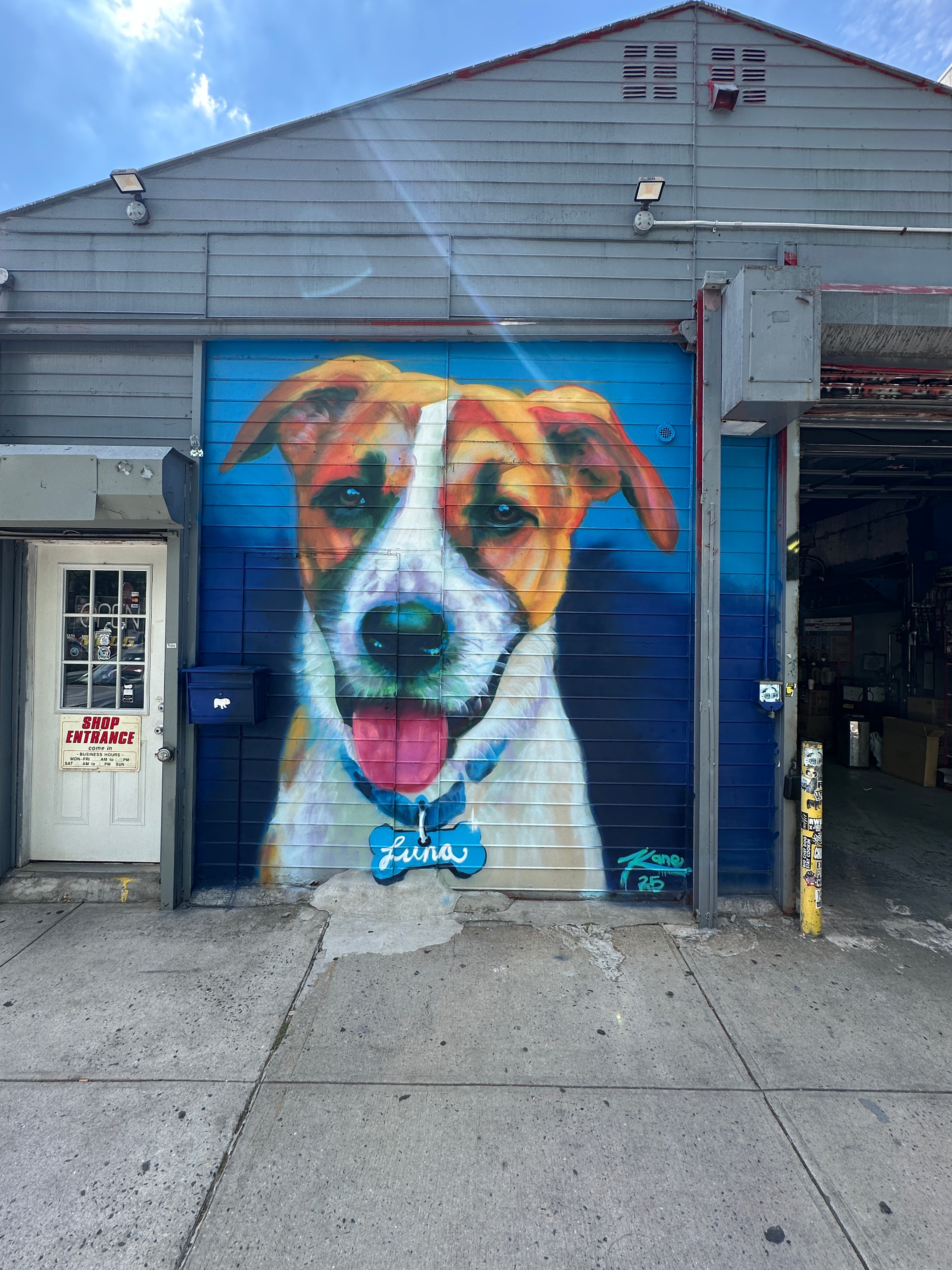 Street Art Tour New York – exploring graffiti and murals along Bedford Avenue